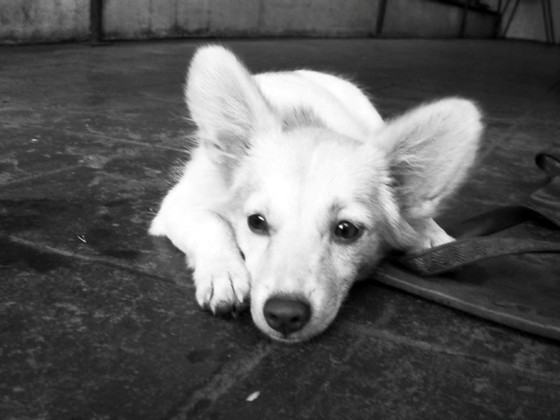 Photography: Emo Style