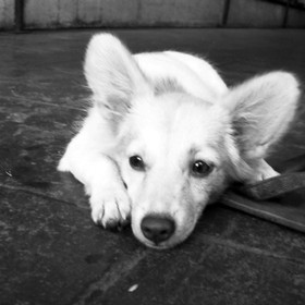 Photography: Emo Style